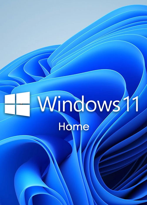 Windows 11 Home
 Lifetime Validity